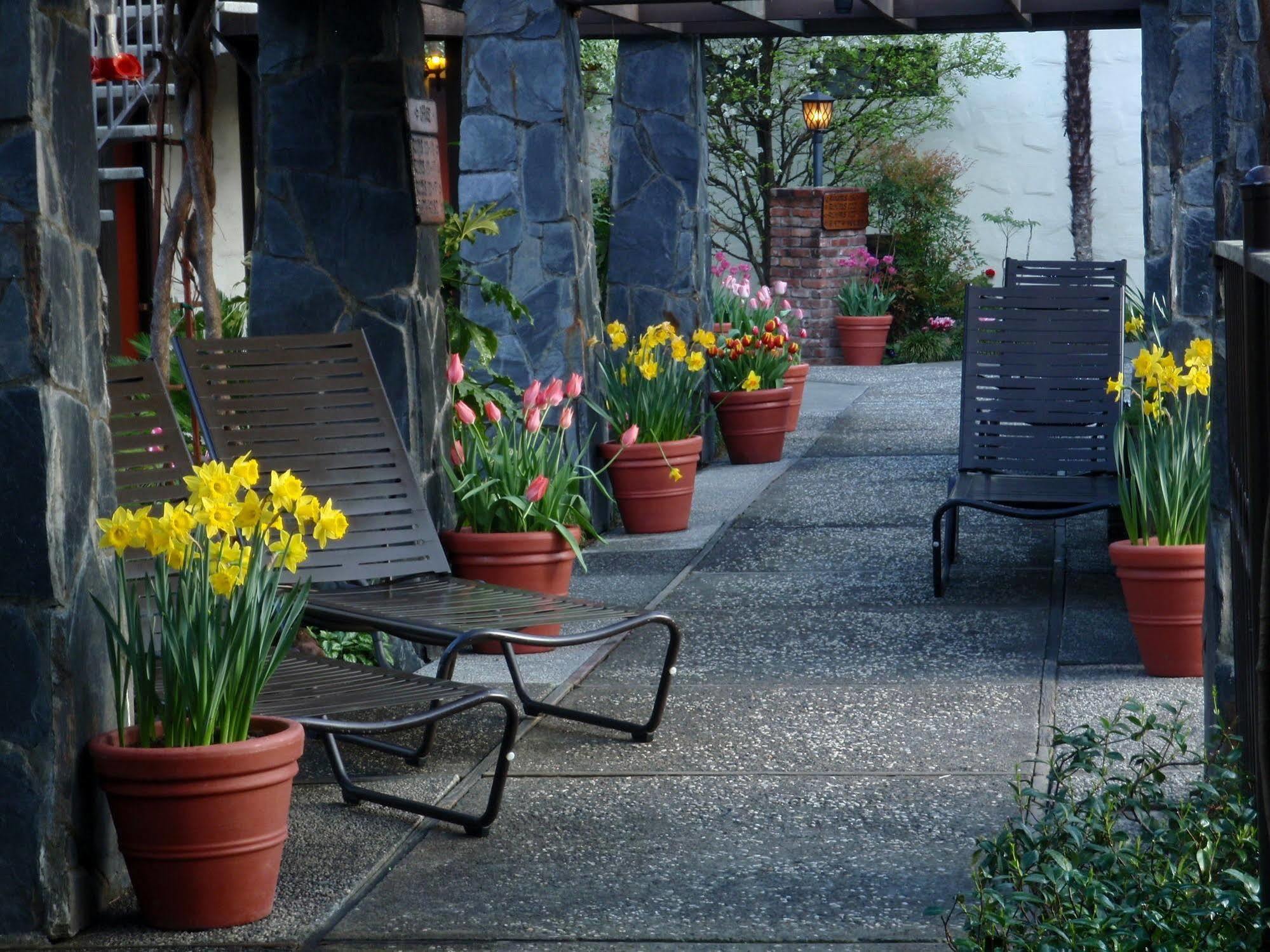 Roman Spa Resort Calistoga Εξωτερικό φωτογραφία