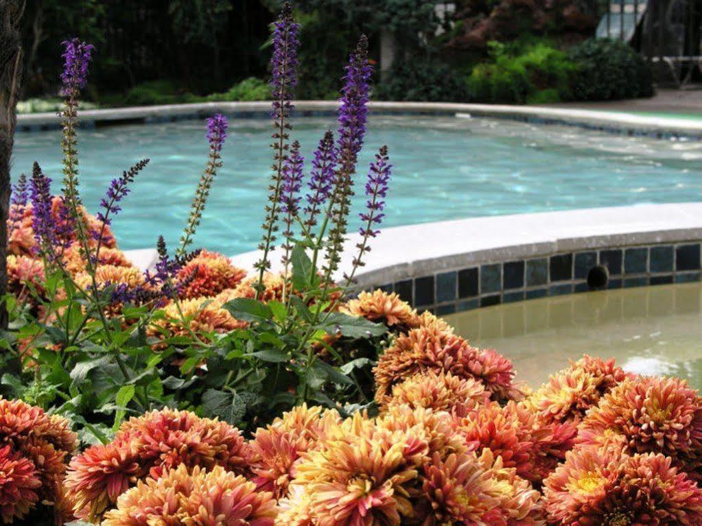 Roman Spa Resort Calistoga Εξωτερικό φωτογραφία